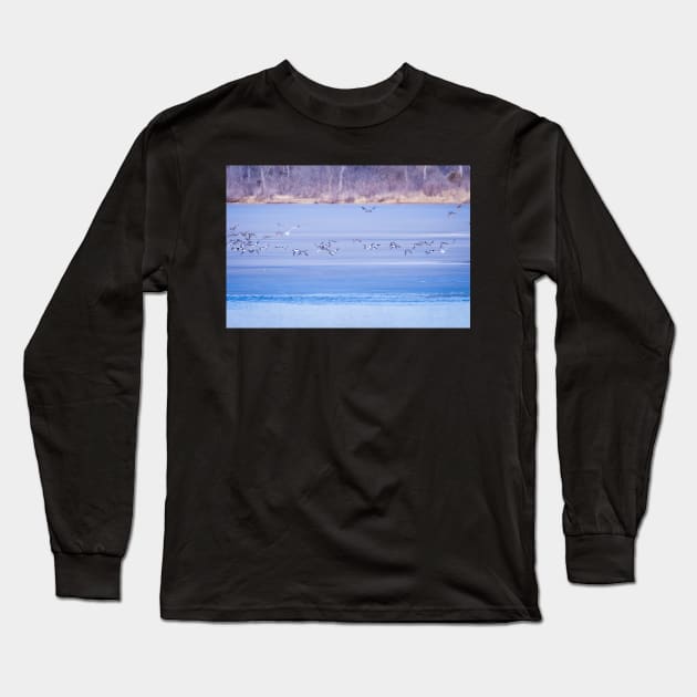 Flight Over Frozen Lake by Debra Martz Long Sleeve T-Shirt by Debra Martz